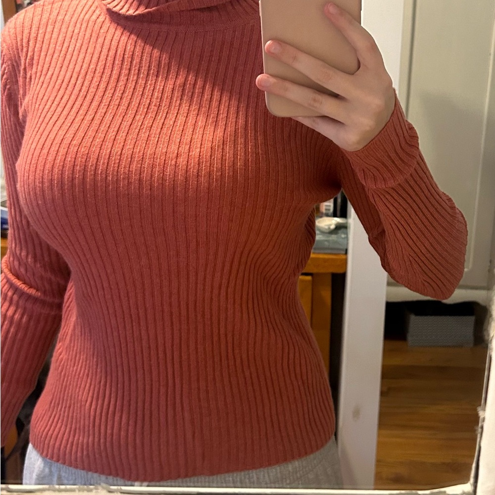 AUTUMN CASHMERE RIBBED PINK TURTLENECK